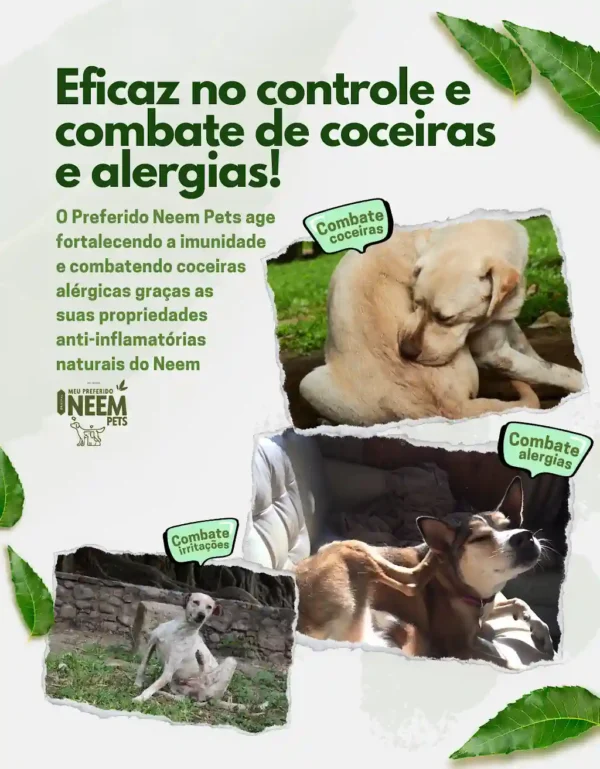 Combate alergia queda de pelos